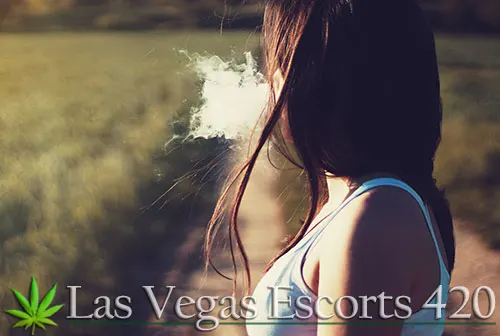 Having A 420 Friendly Vacation